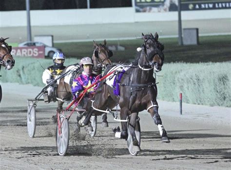 Harness Racing Tips & Previews .